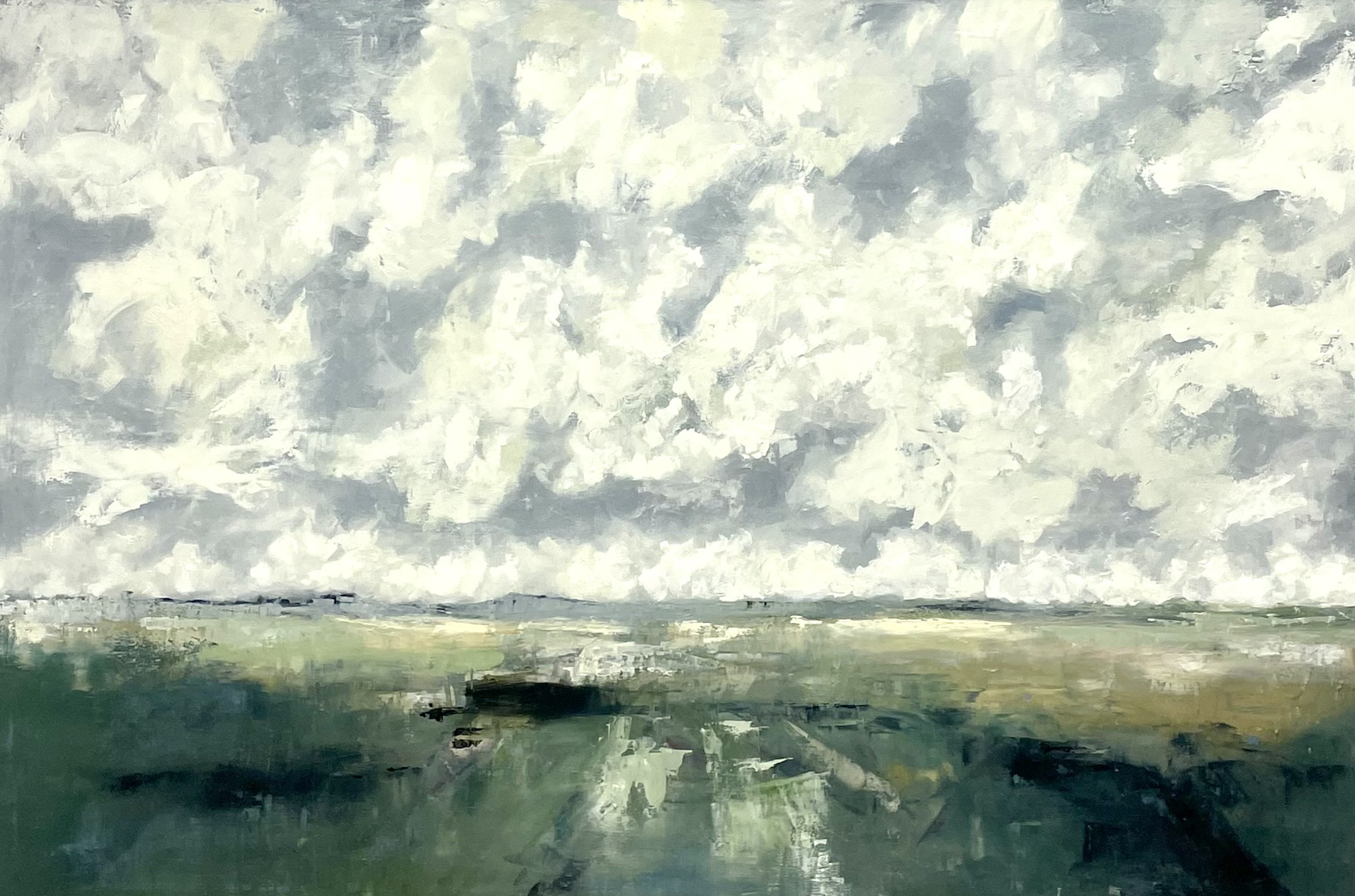 Open Fields by Toni Swarthout