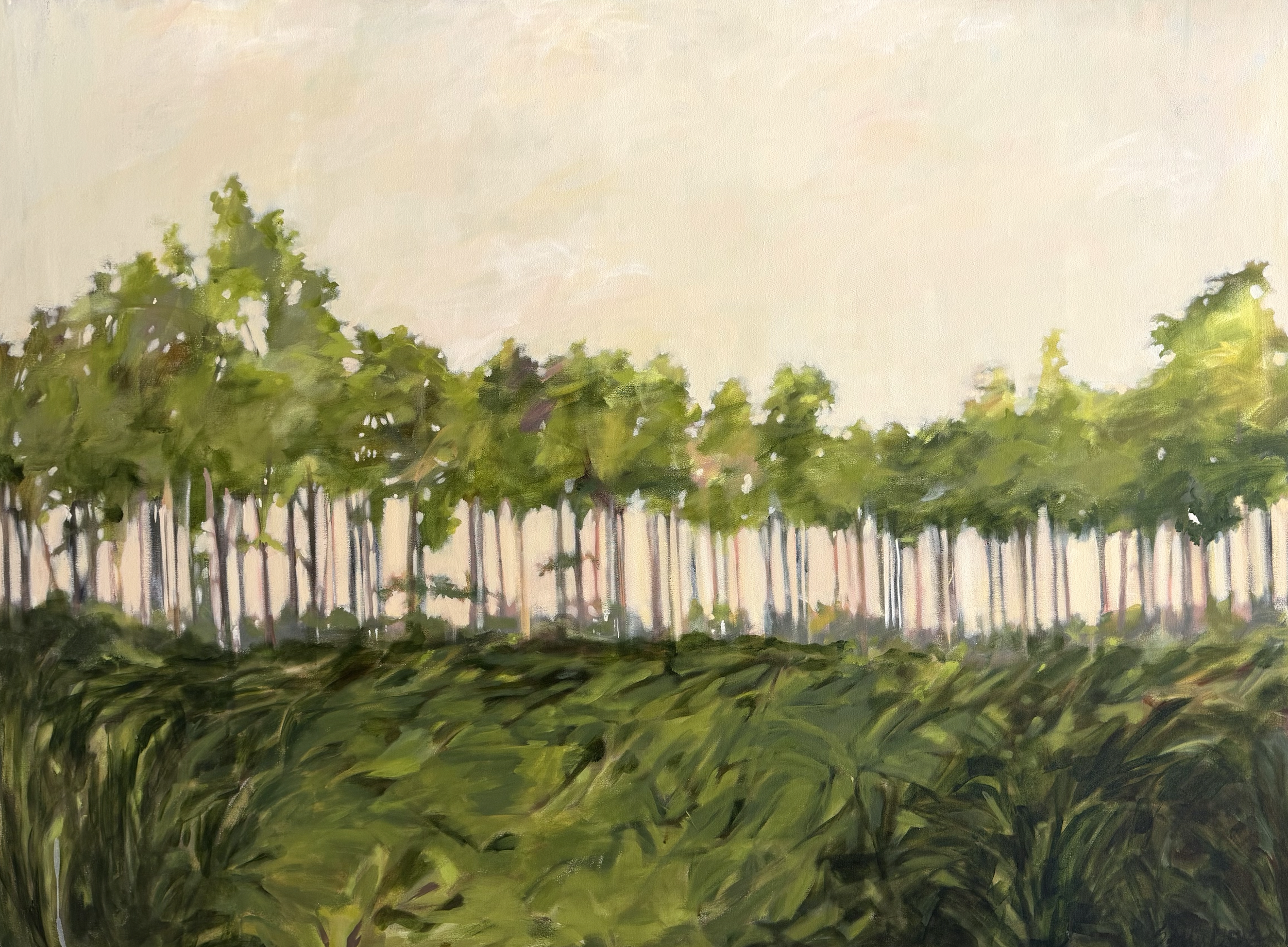 Ridge View by Sally Boyd