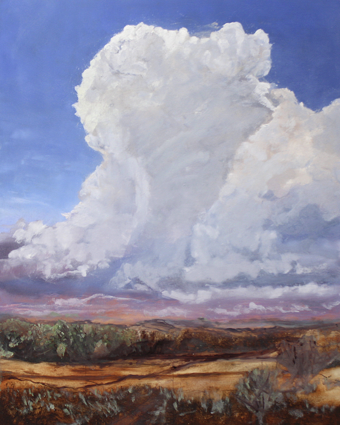Texas Sky by Toni Swarthout