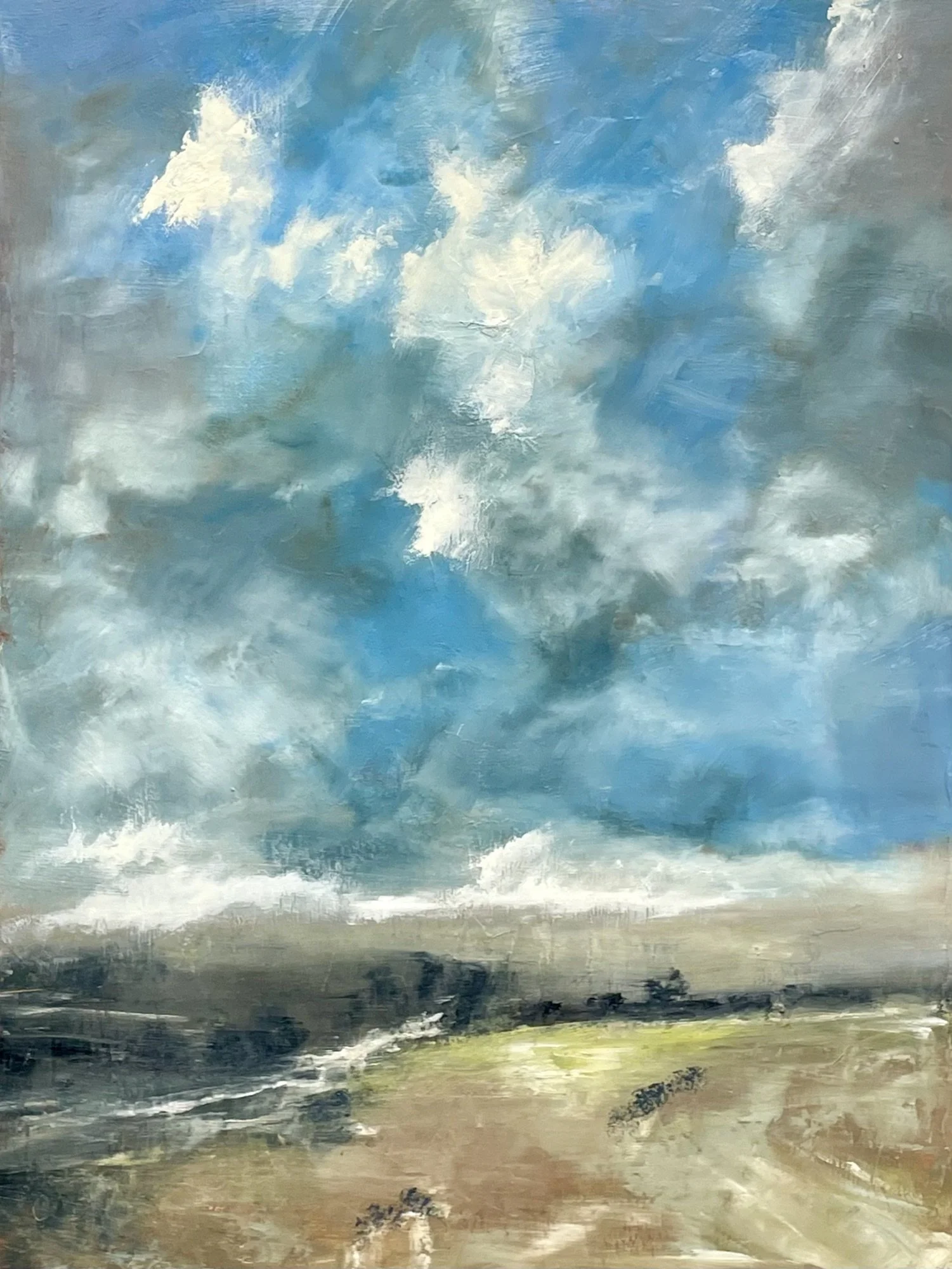 After the Rain by Toni Swarthout