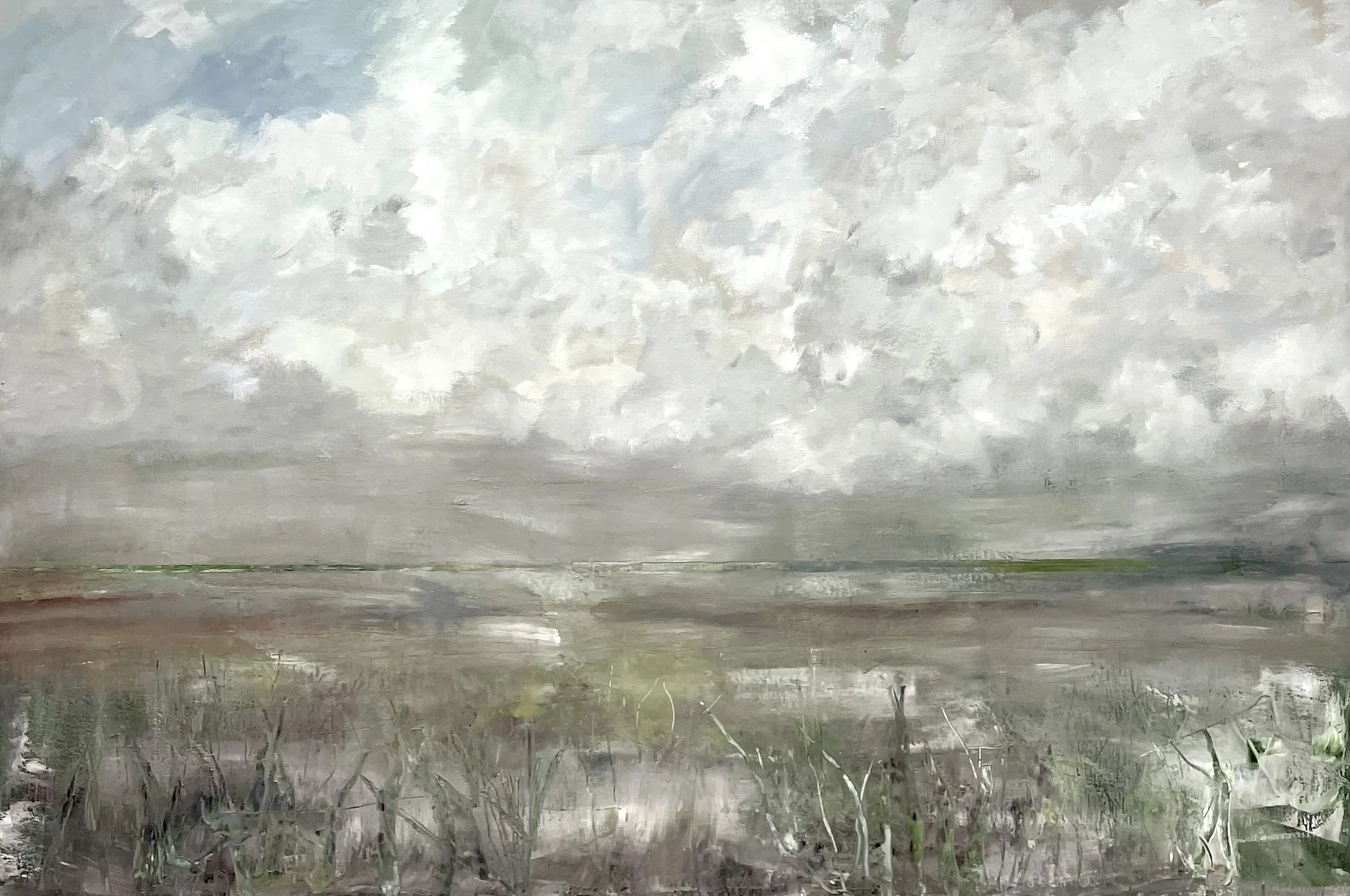 Blades of Grass by Toni Swarthout