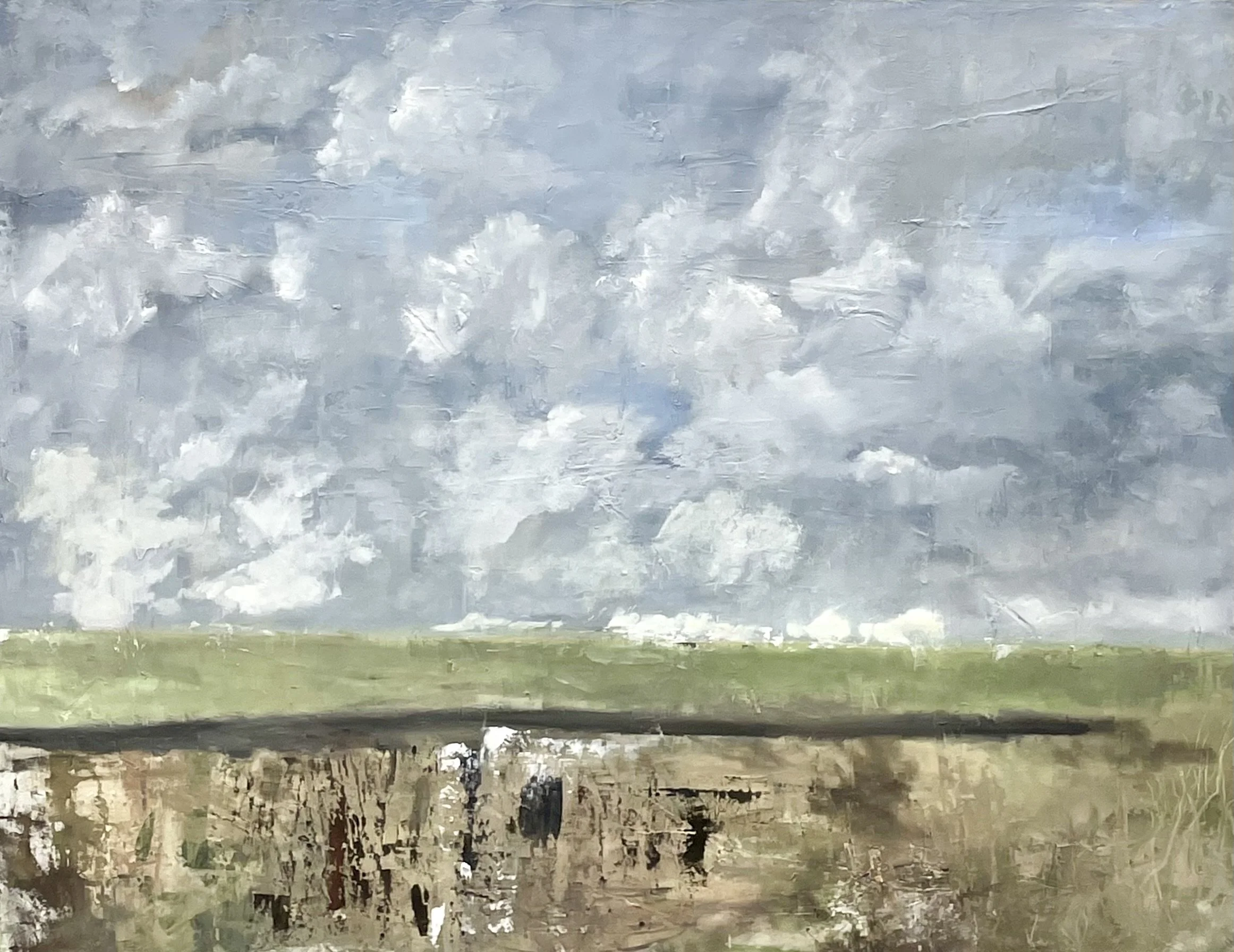 Breaking Through by Toni Swarthout