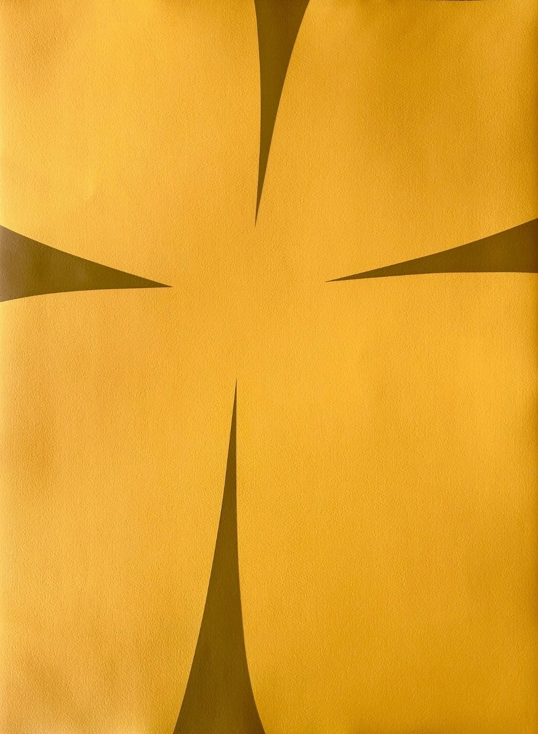 Dogwood 7 by Evan Mooney