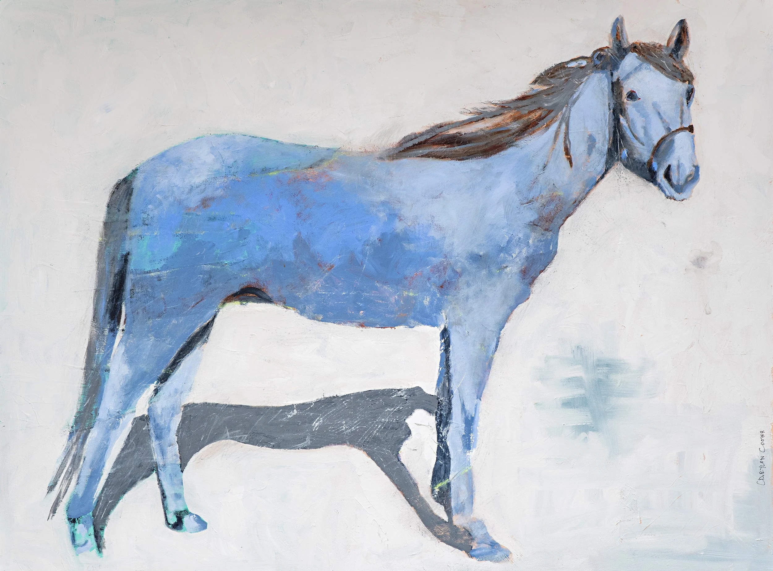 My Blue Horse on White by Carylon Cooper