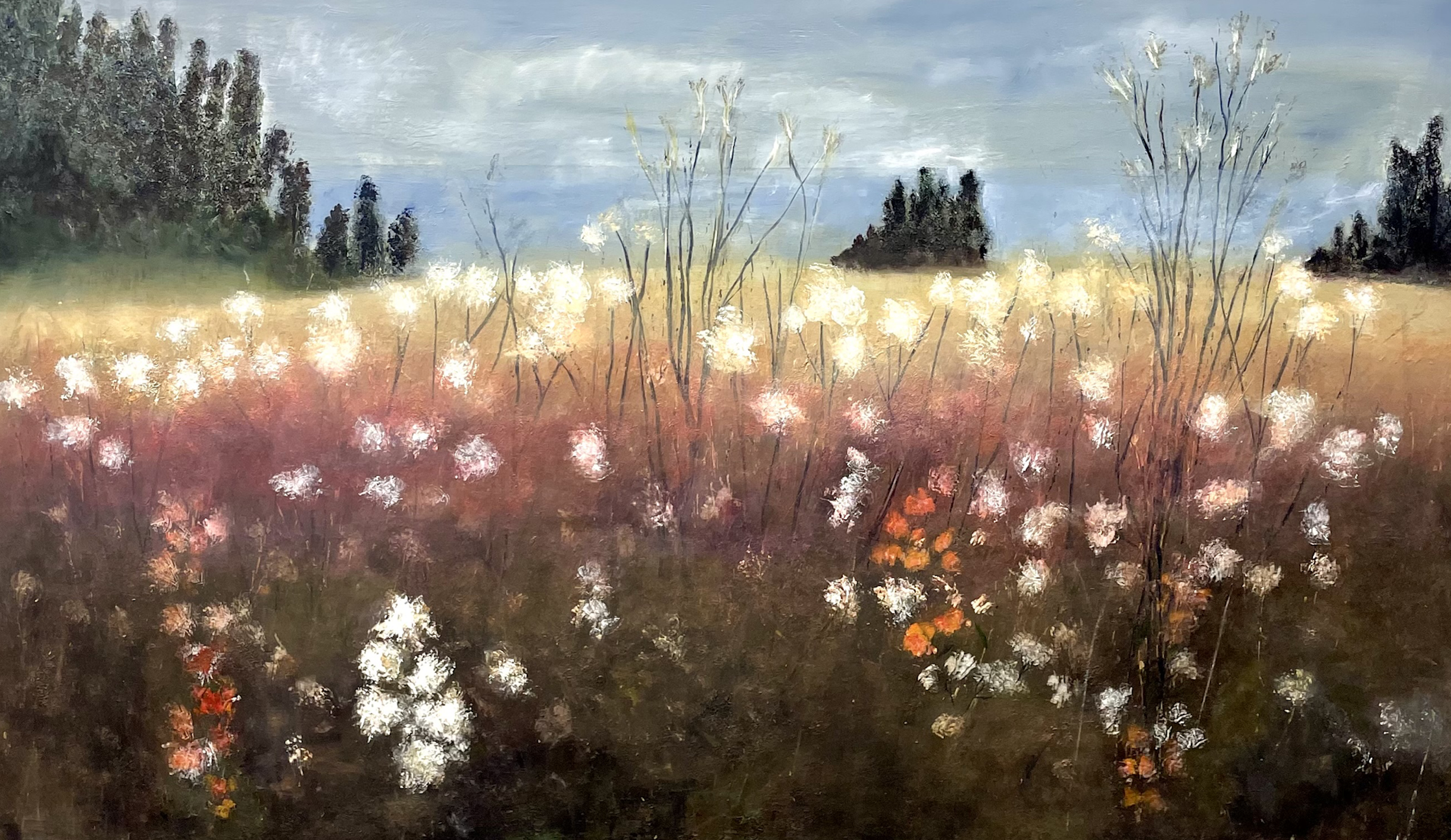 Flower Field by Toni Swarthout