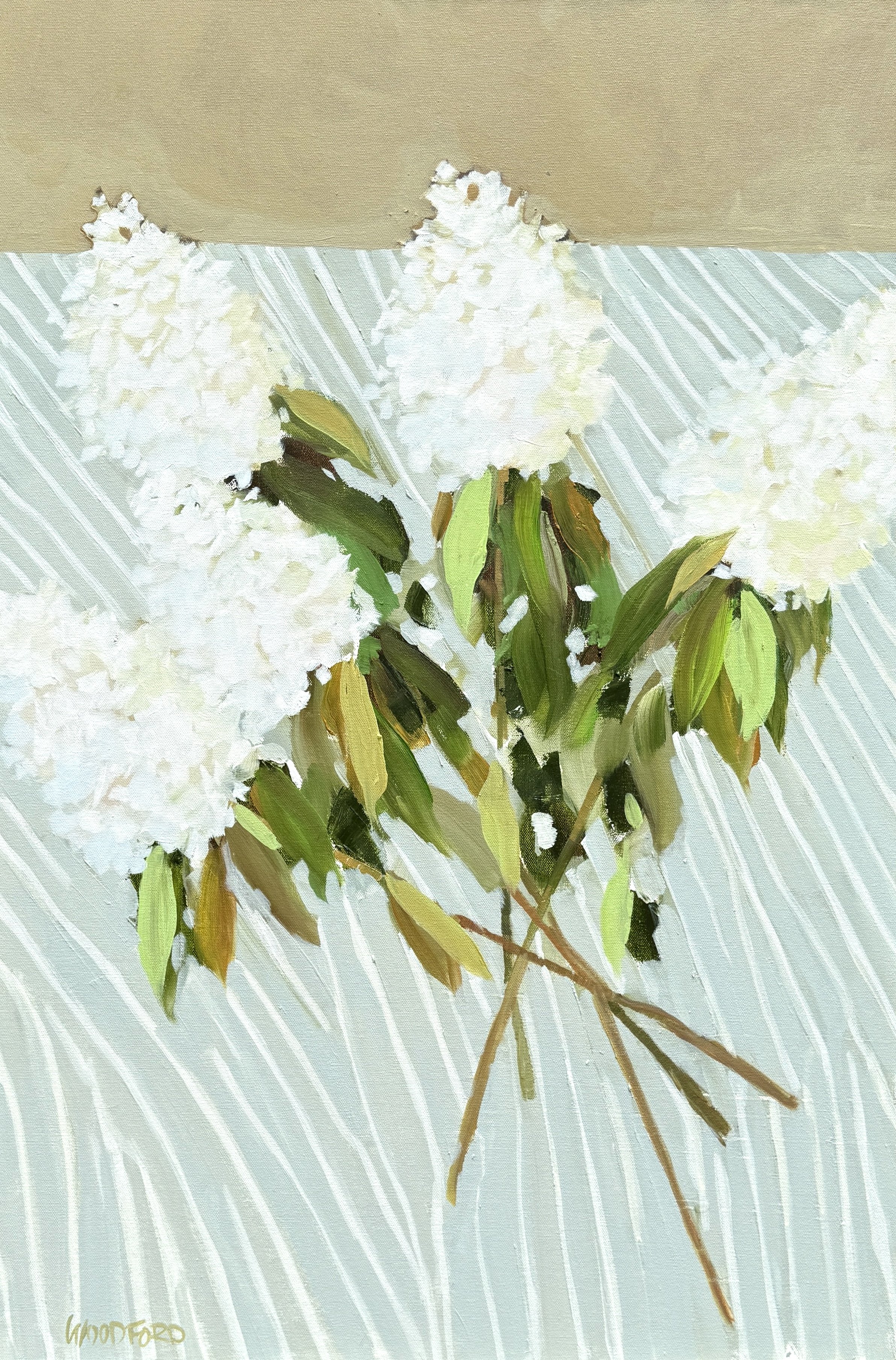 Collected by Shannon Woodford