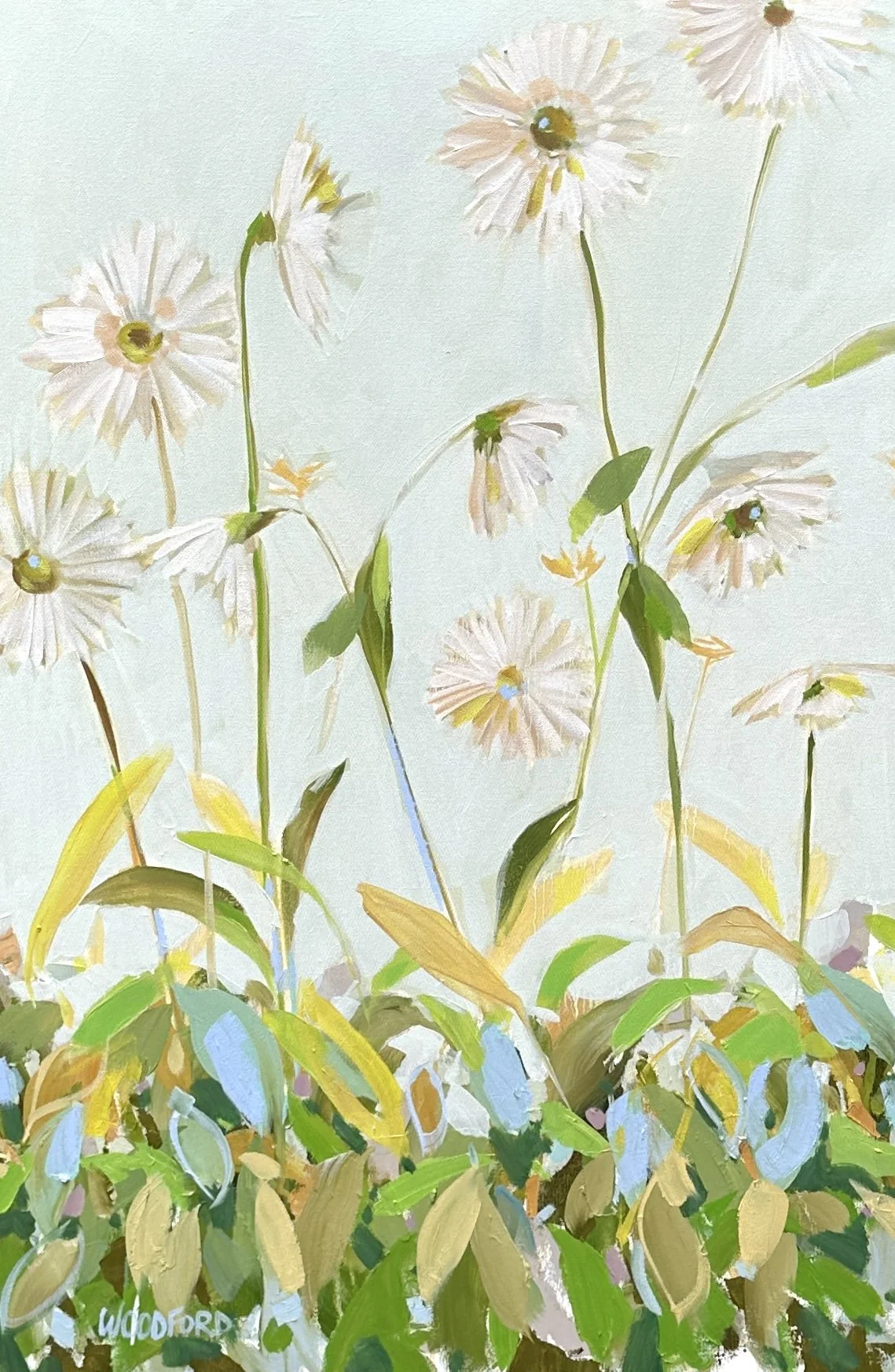 Summer Shine by Shannon Woodford