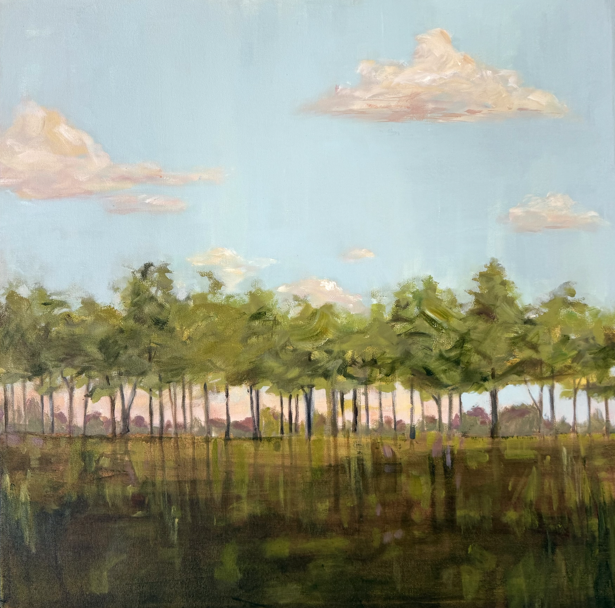 Tree Line by Sally Boyd