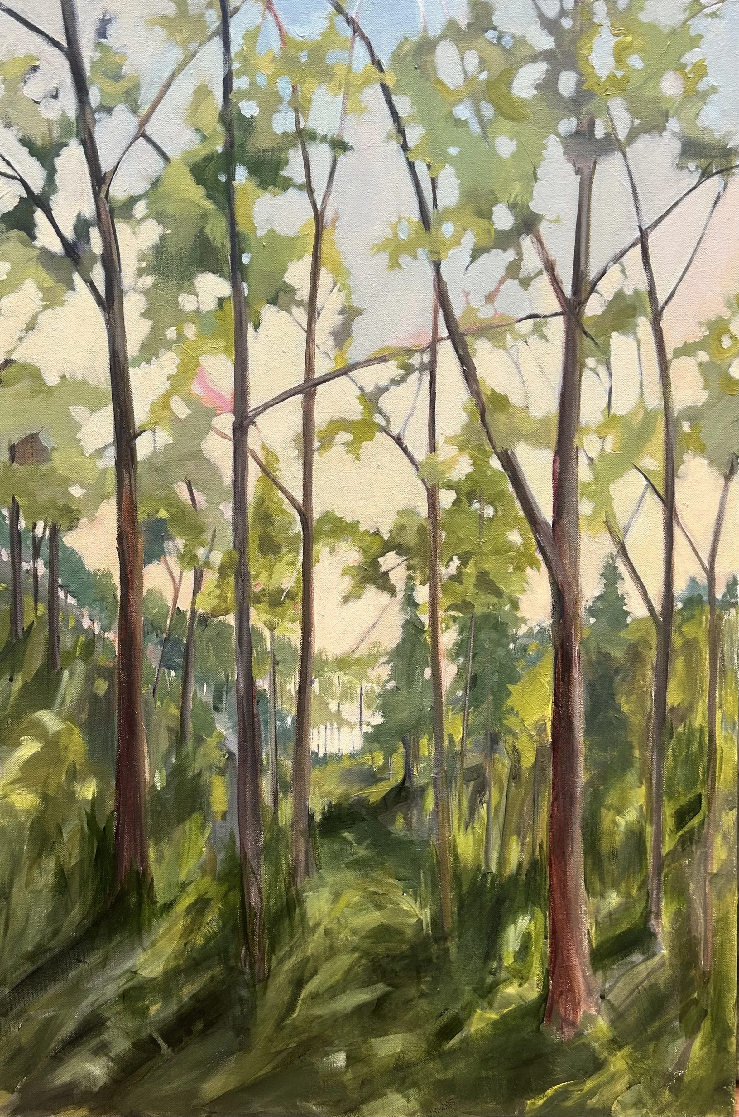 Through the Hills by Sally Boyd