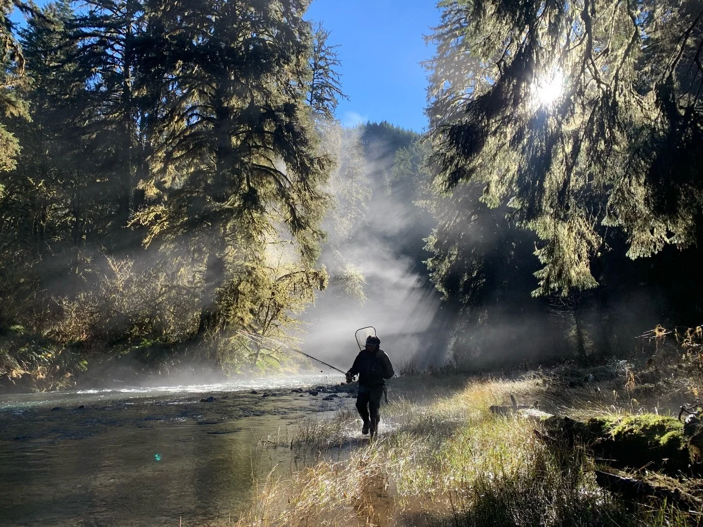 Crisp misty mornings on the mind 💭

#flyfishing #pnw #oregoncoast #northfork
