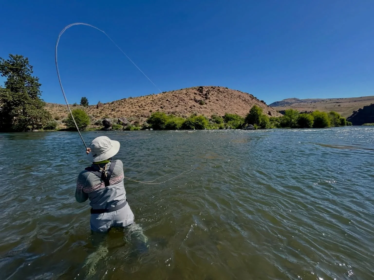 Ready to spend a couple days on the water? Let&rsquo;s make it happen. 

#salmonflies #trout #lowerdeschutes #catchandrelease #northforkoutfitters