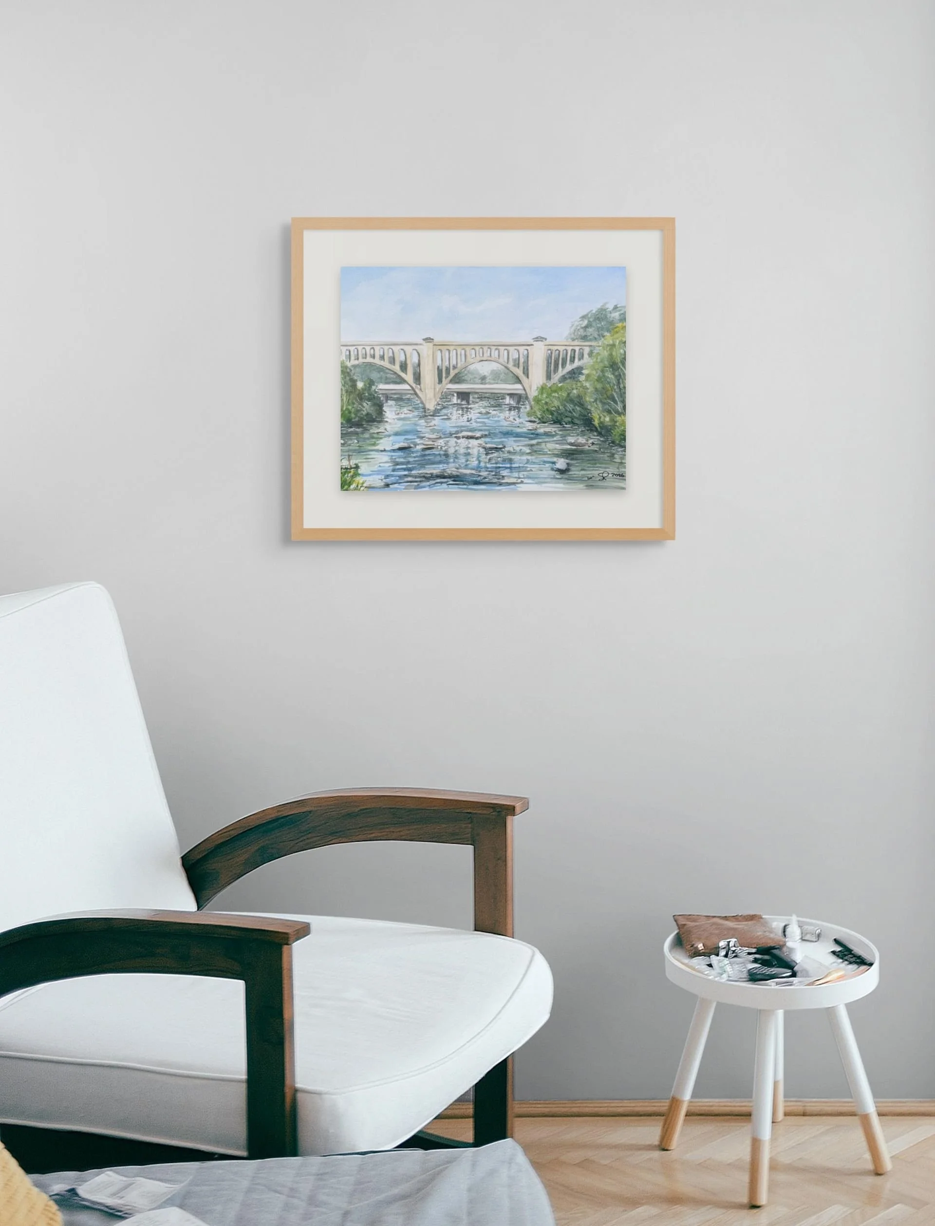 csx bridge spring-in situ.jpg