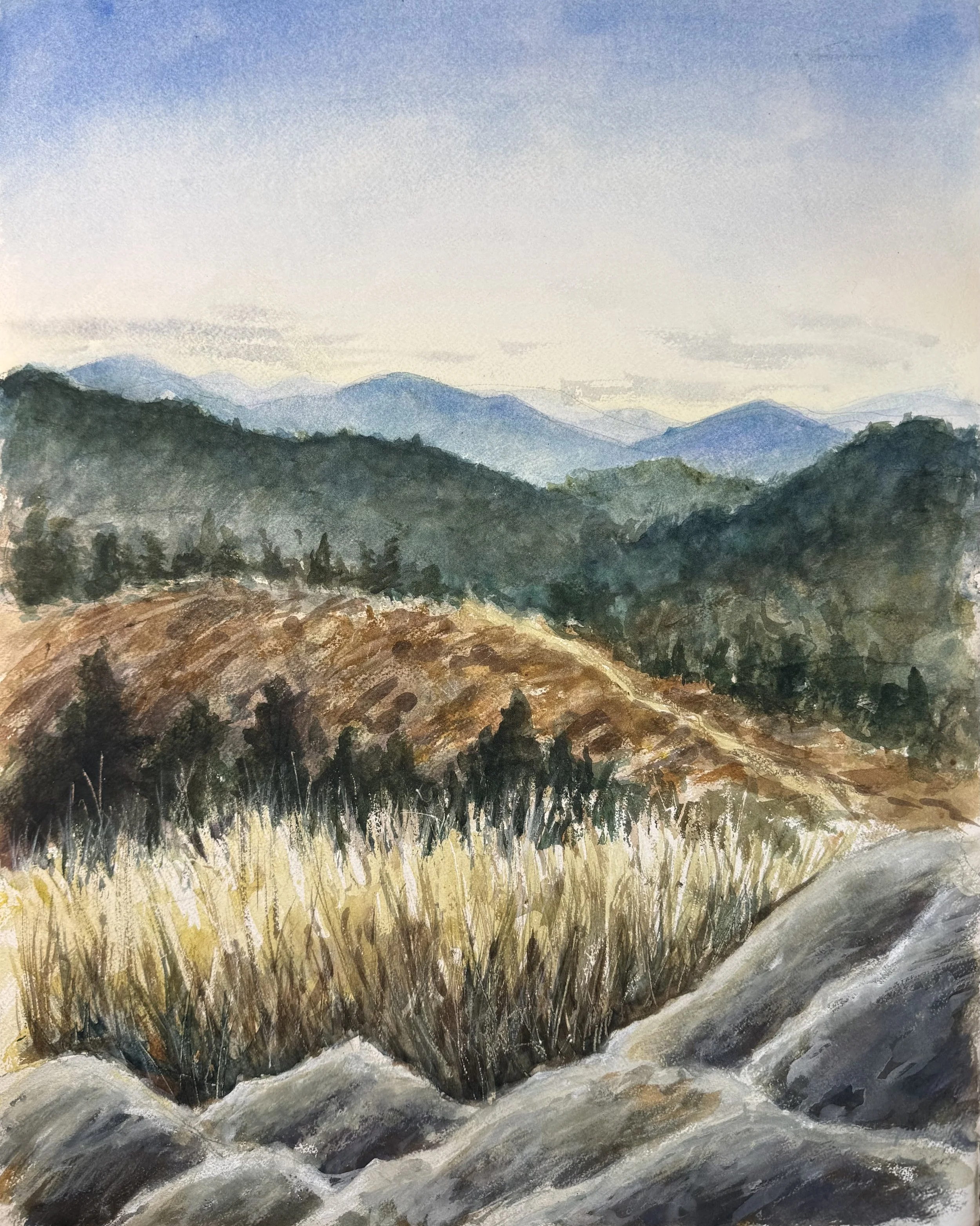 Mountain Meditation 2.jpeg
