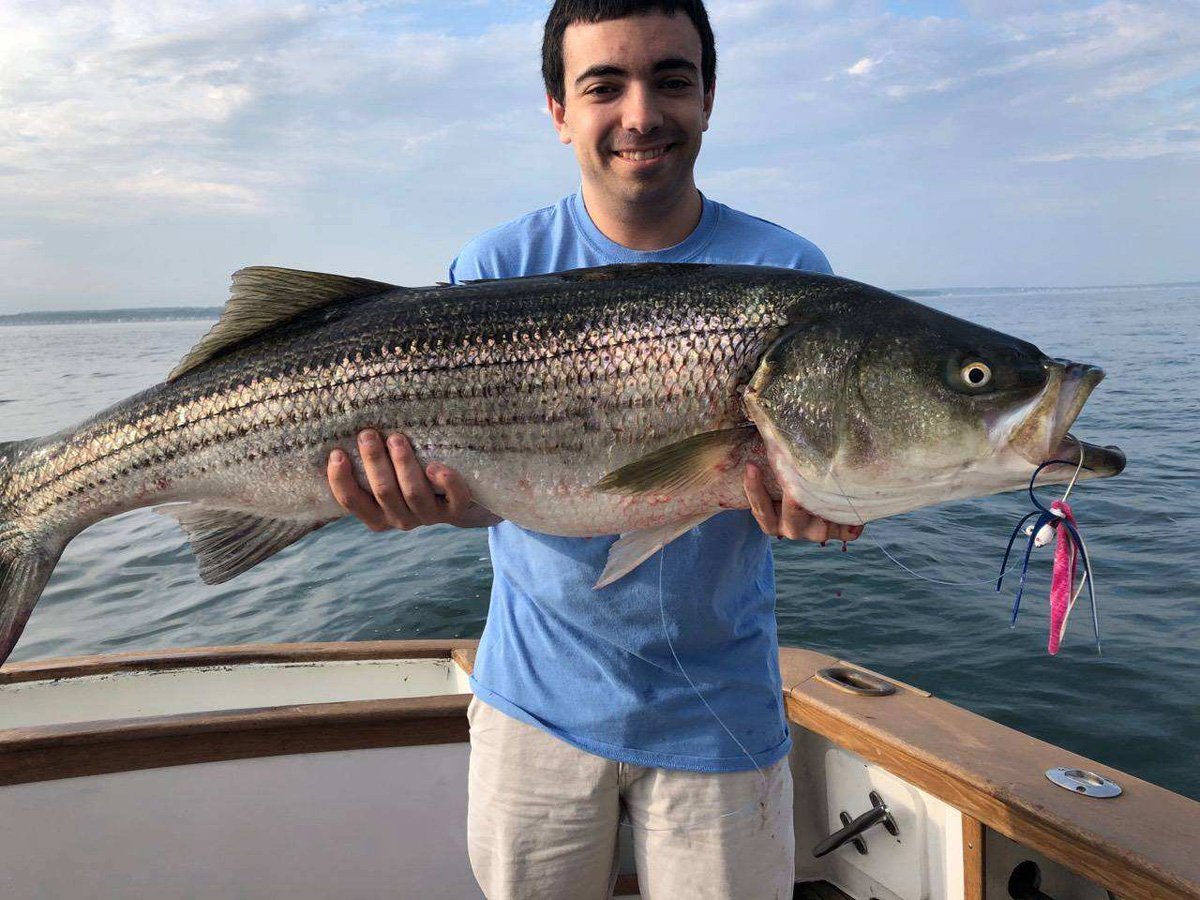 Striped Bass.jpg