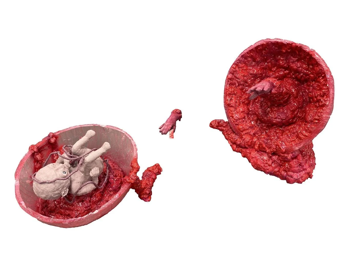 "Severed in Flesh" 2022
Senior Thesis