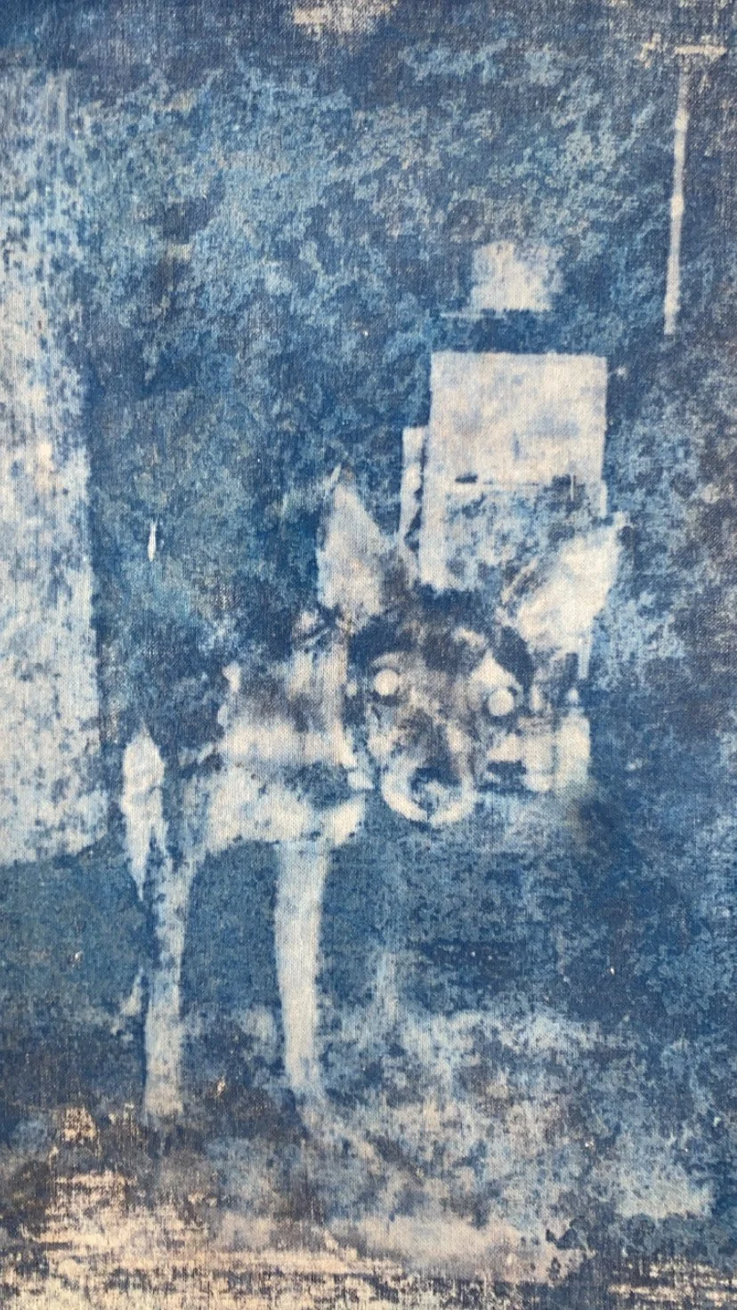 "Kona" Cyanotype on Muslin, 2023