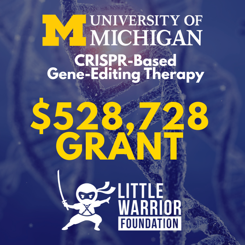 The Little Warrior Foundation Awards $528,728 Grant to Dr. Mats Ljungman for Breakthrough Ewing Sarcoma Gene-Editing Therapy