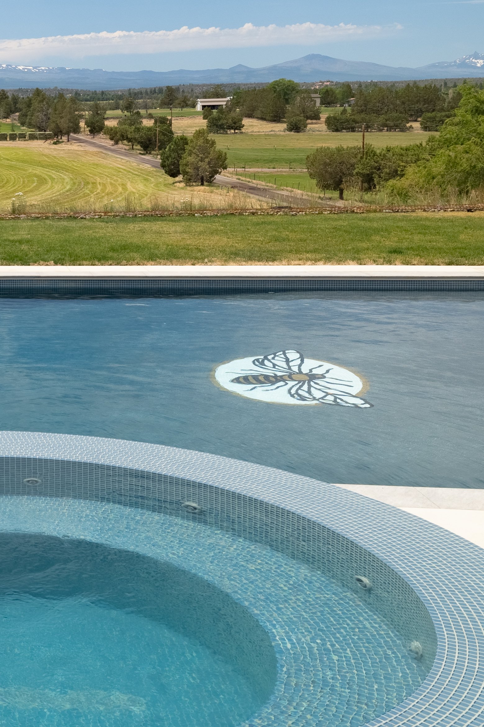 A swimming pool with a mosaic design of a bee on the water, surrounded by a blue tiled border, with a scenic view of green fields, trees, and mountains in the background.