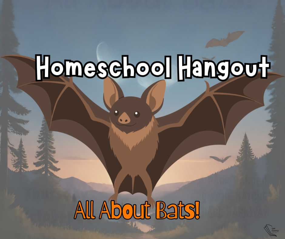 Homeschool Hangout 
