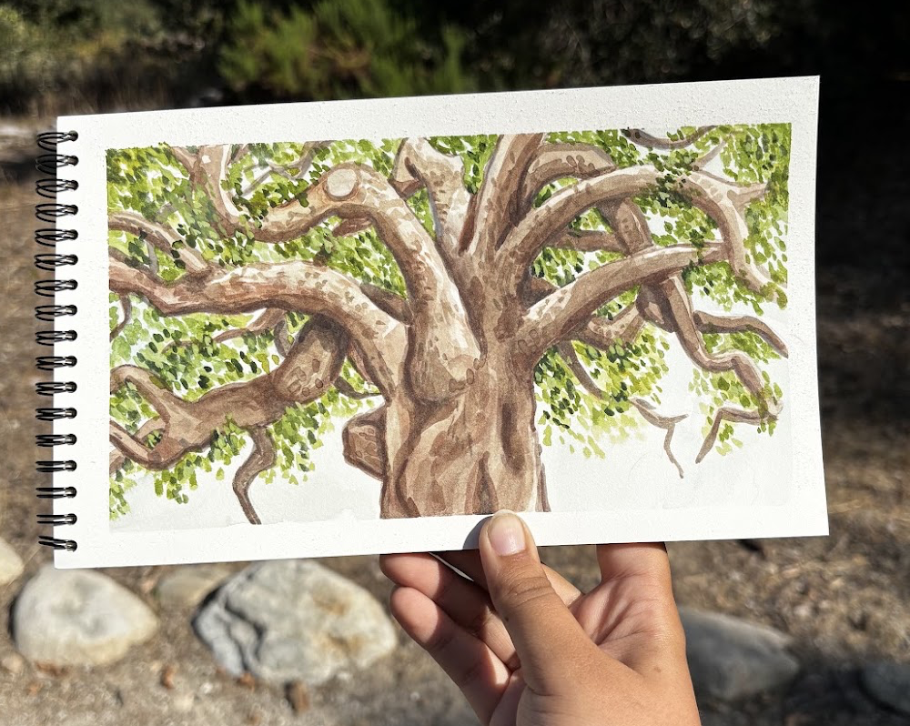 Majestic Oak - Watercolor