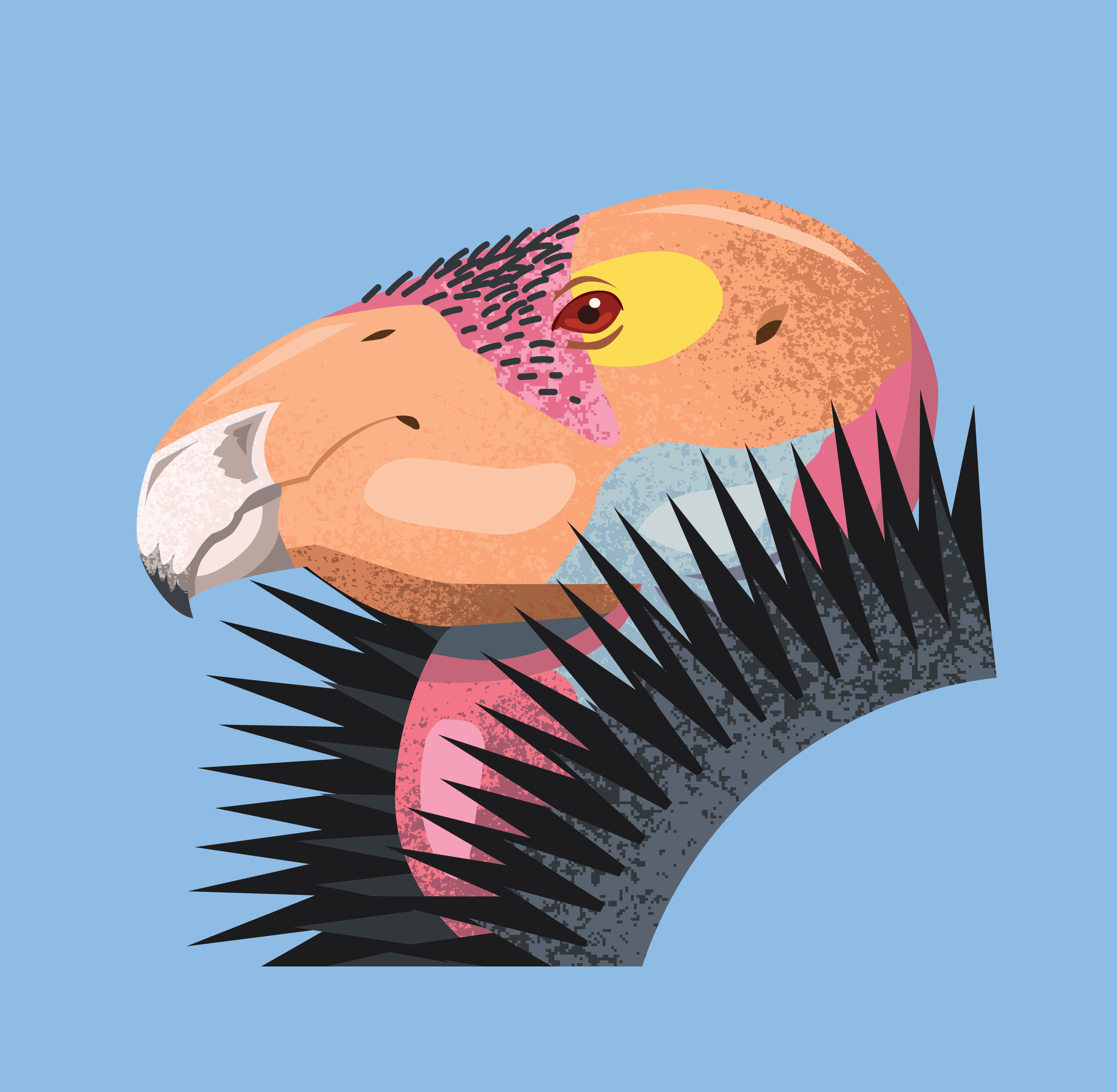California Condor Portrait - Vector