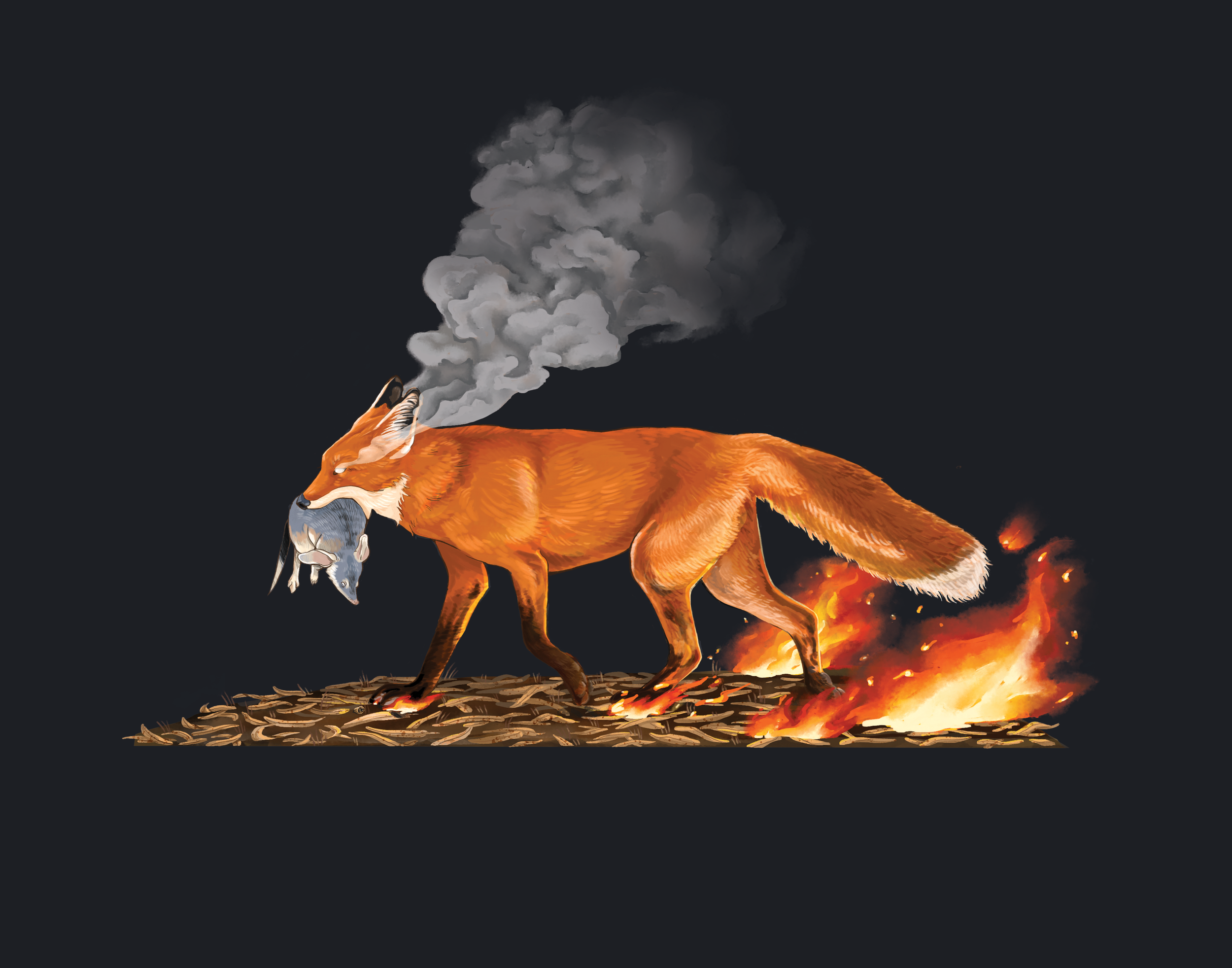 fox_nofilters_darkerbackground.png