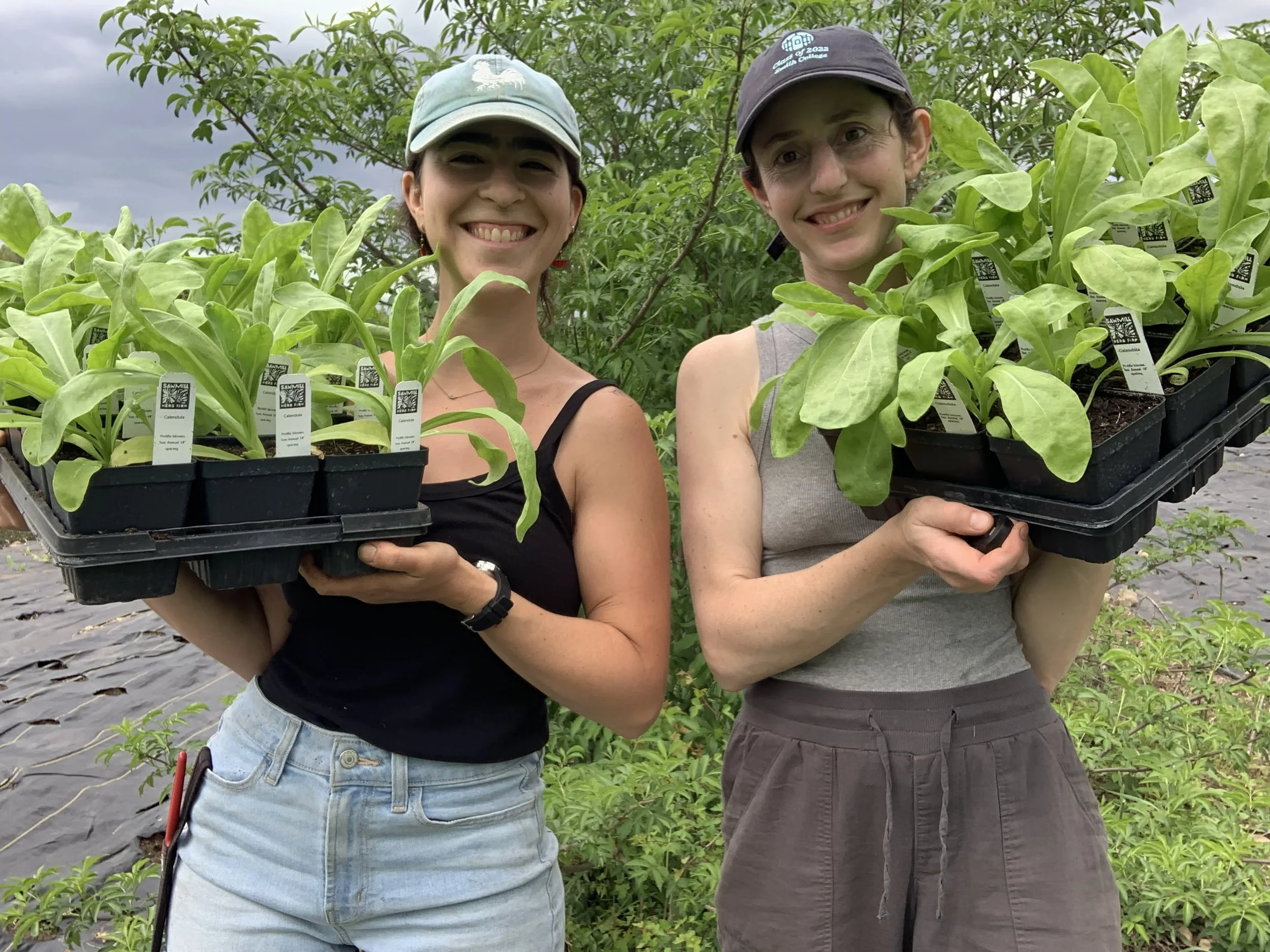 Two women outdoors holding trays of potted plants, smiling, with greenery and cloudy sky in the background.