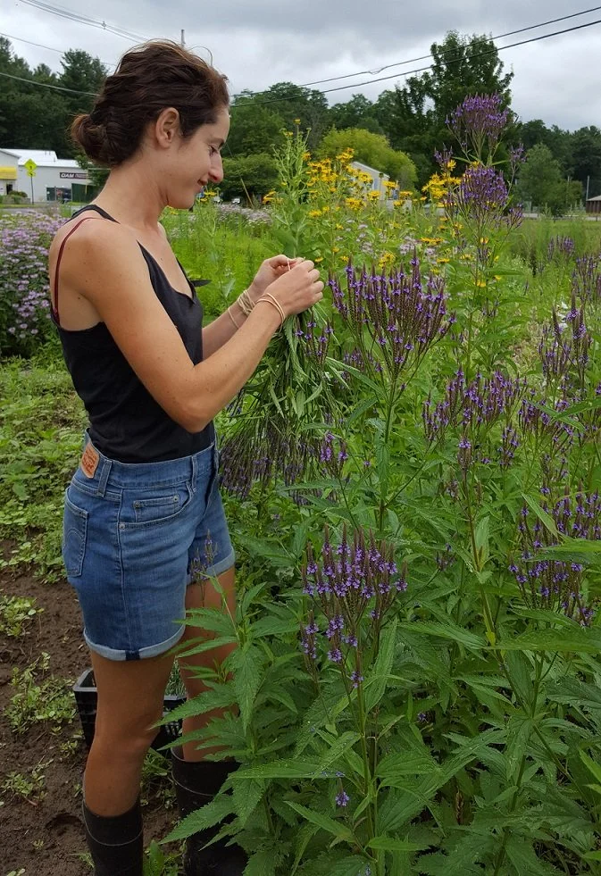 Woman harvesting purple and yellow flowers in a garden