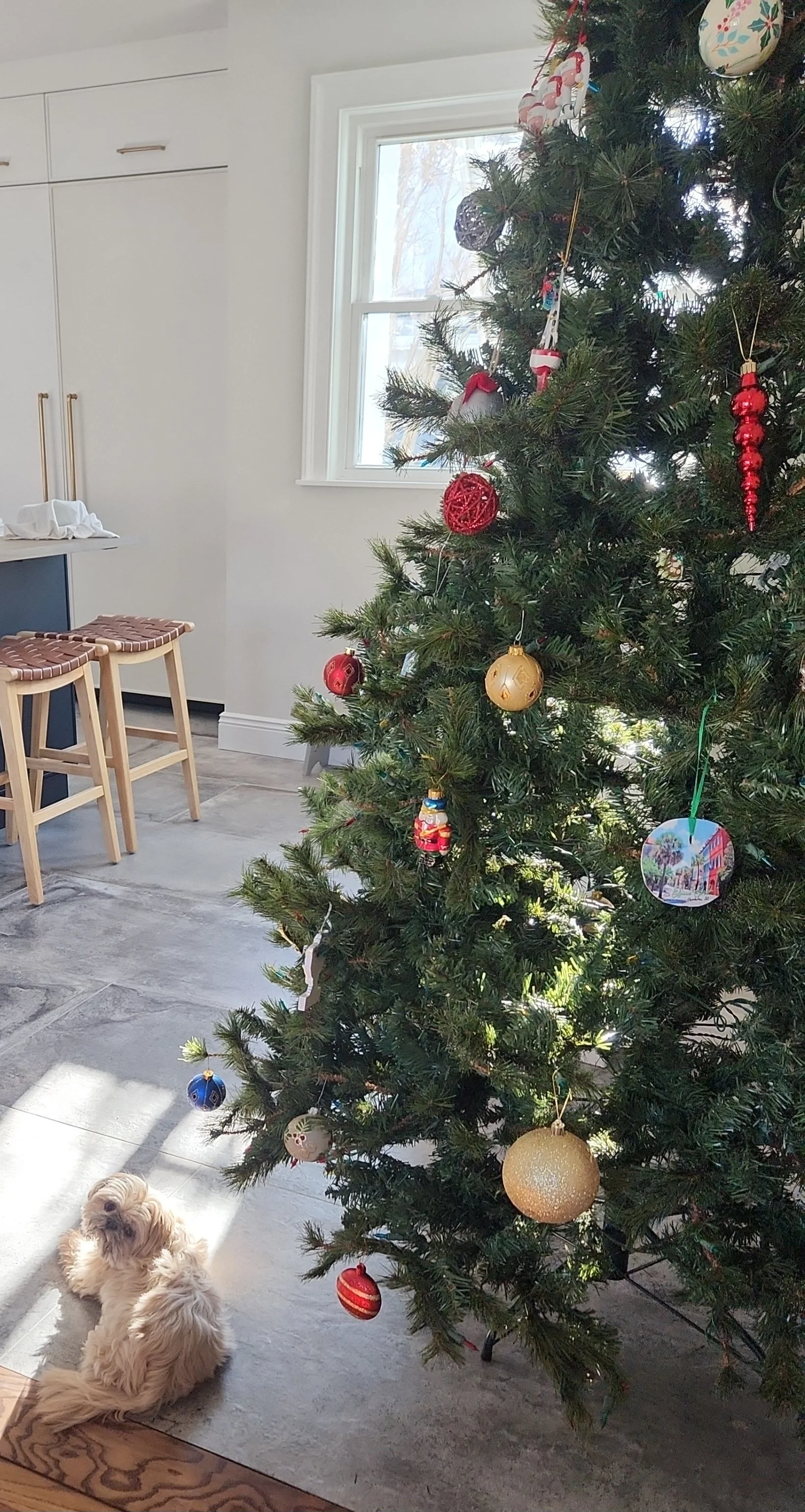 happy new year 2024.jpeg