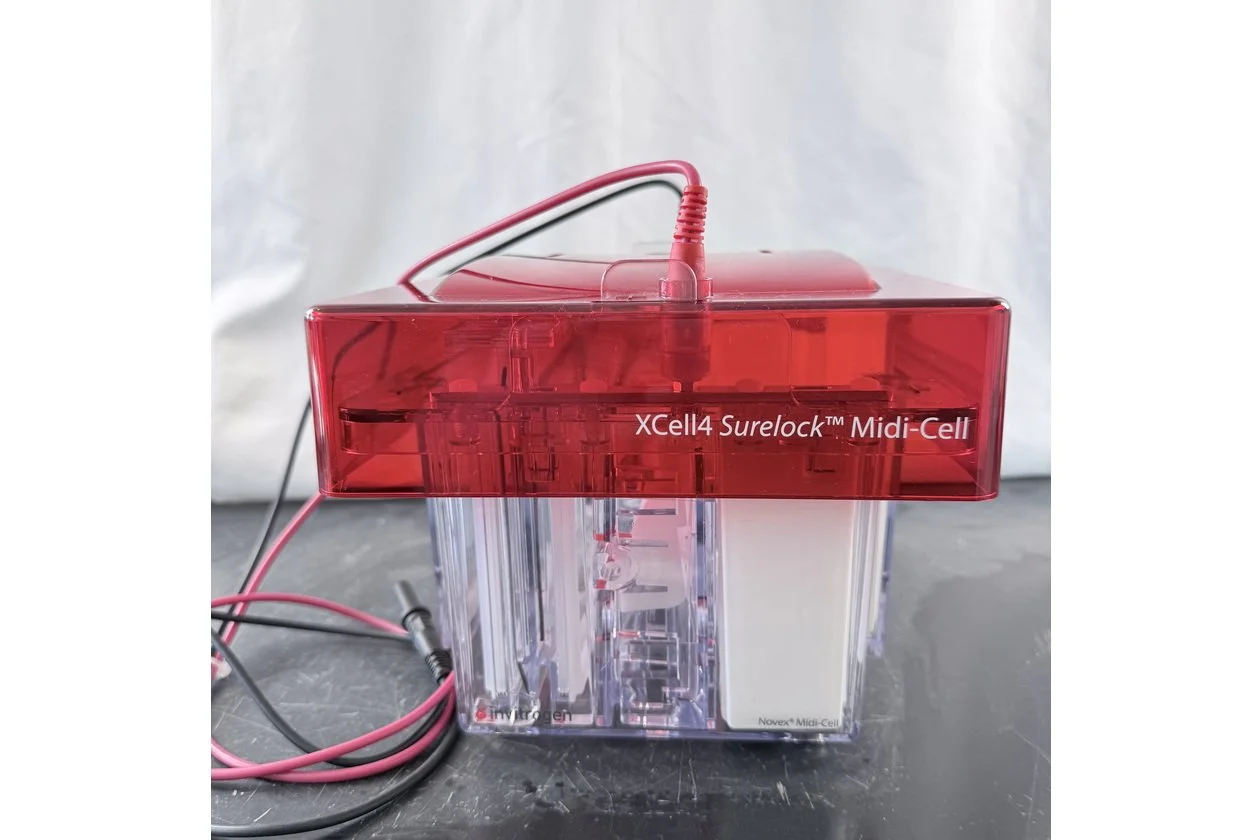 2026-03-09 14-57-41-1.acdsee.JPG