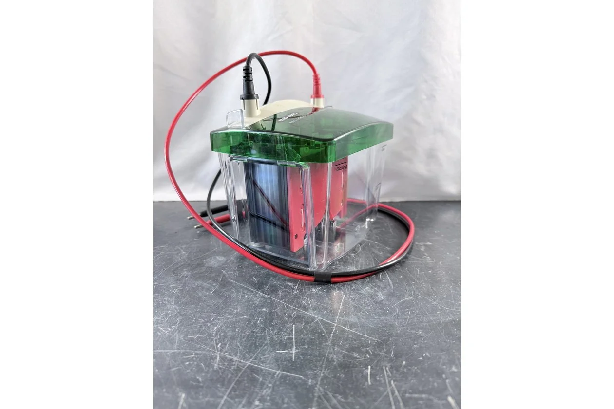 2026-01-20 10-32-36.acdsee.JPG