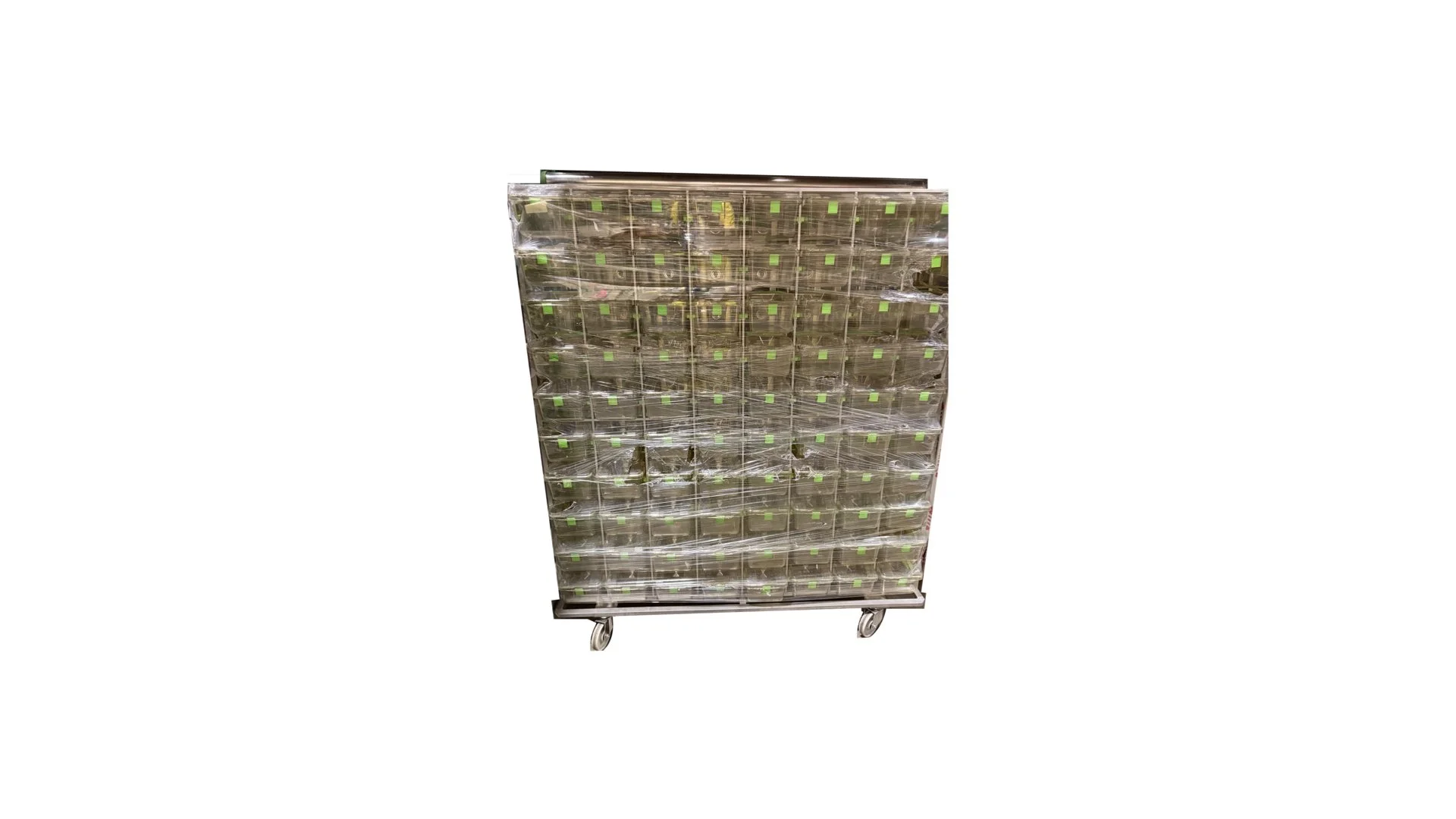 Tecniplast Green Line Mouse Rack WITH CAGES - 160 cage, Double Sided GM500