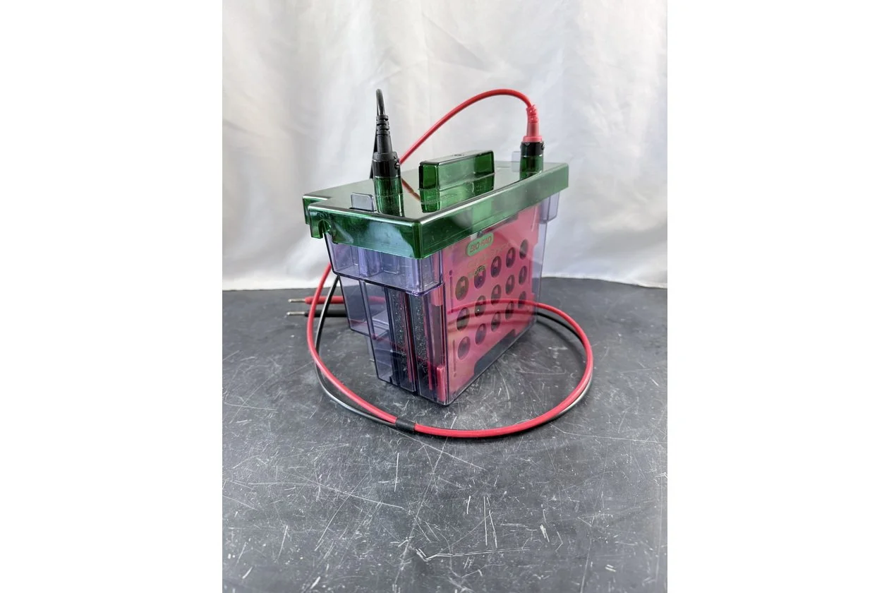 2026-01-20 10-38-06.acdsee.JPG