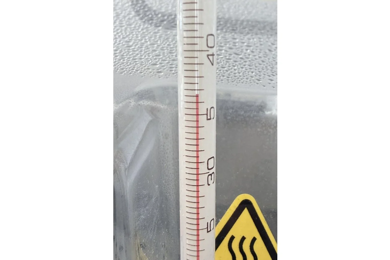 2026-02-28 13-06-01-1.acdsee.JPG