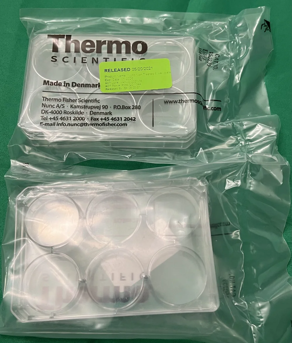 IMG_4863.jpeg?format=1000w