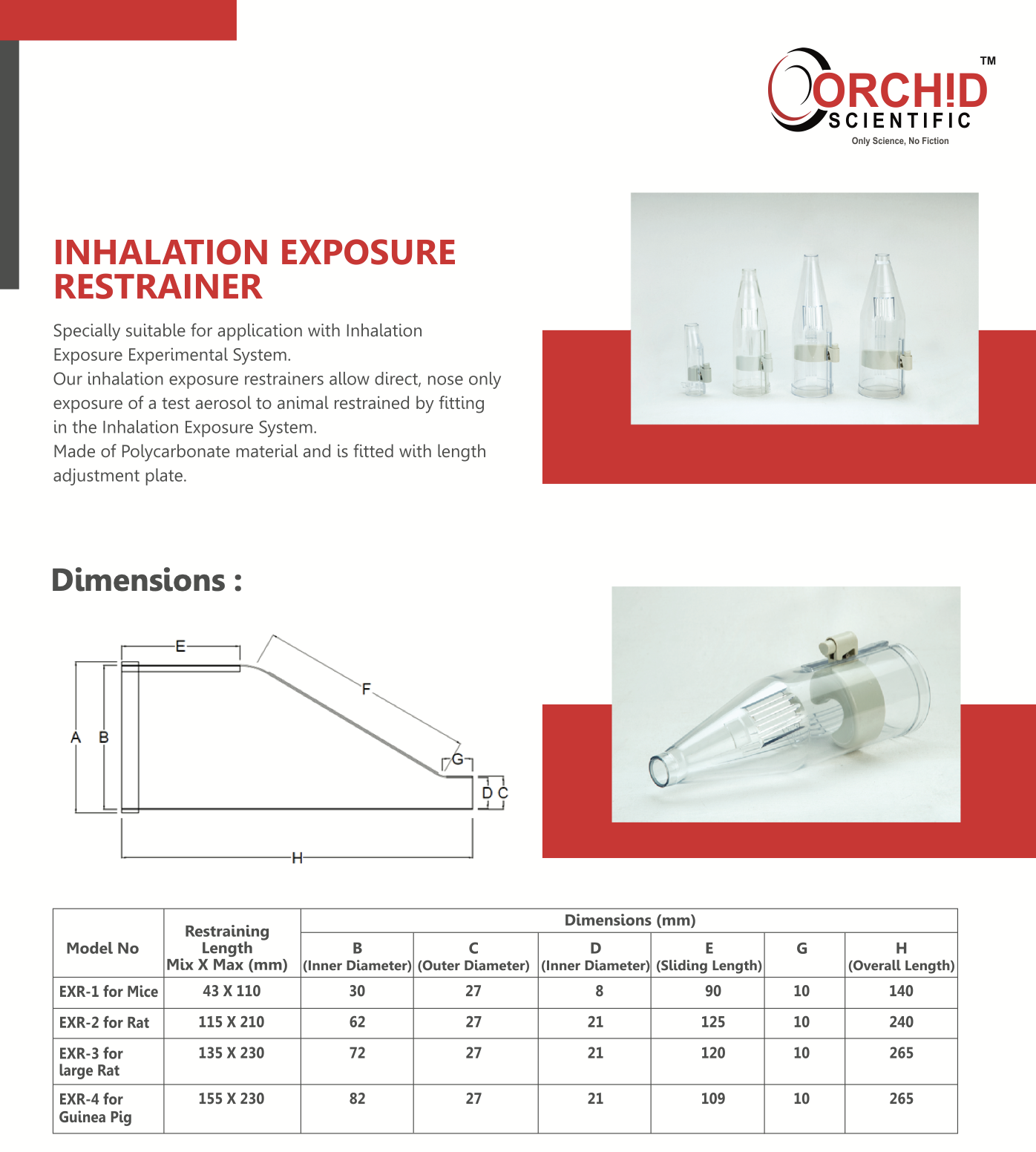 Screenshot 2026-01-05 at 12.13.52 PM.png