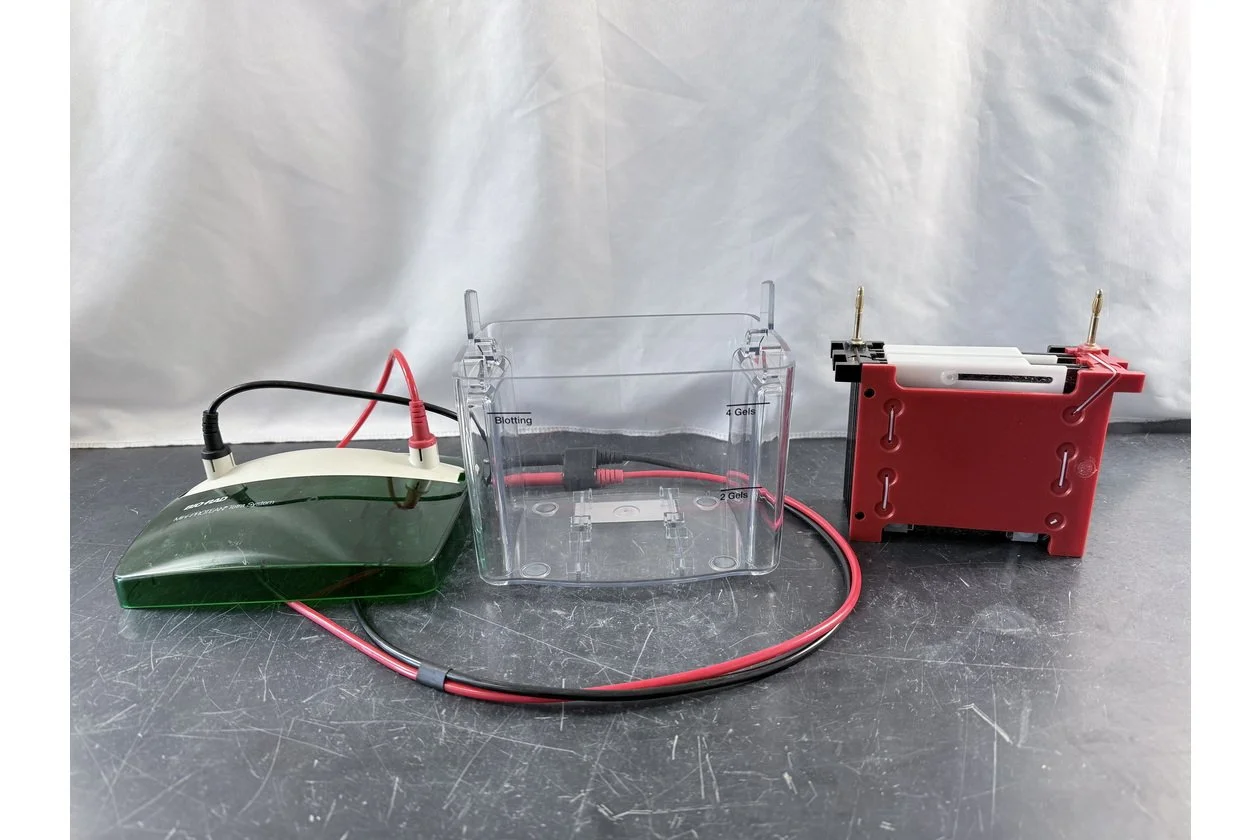 2026-01-20 10-33-12.acdsee.JPG