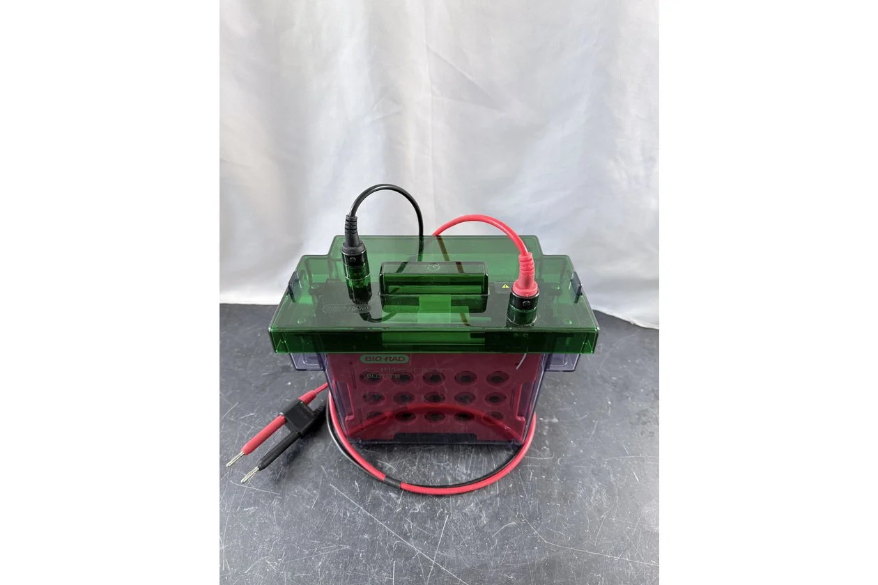 2026-01-20 10-37-52-1.acdsee.JPG