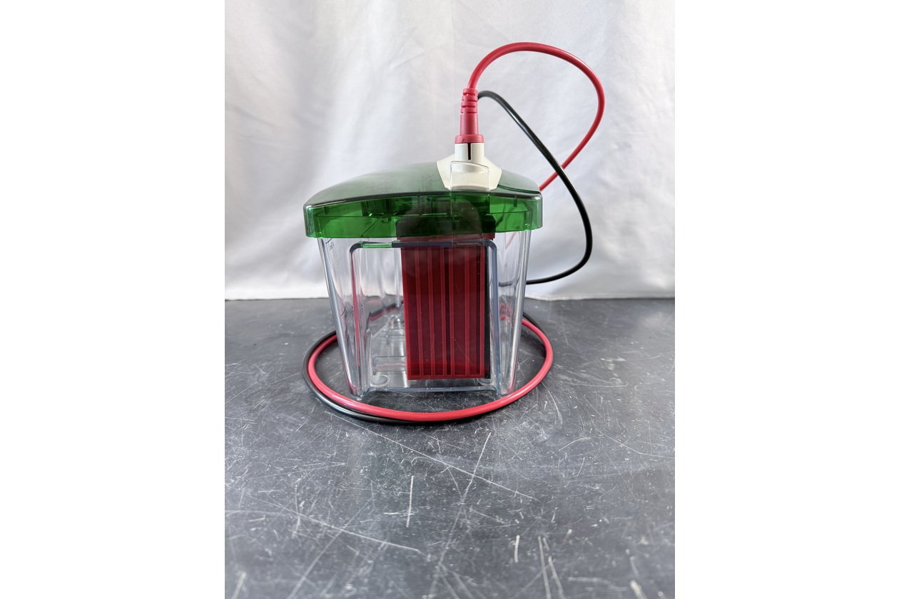 2026-01-20 10-32-45.acdsee.JPG