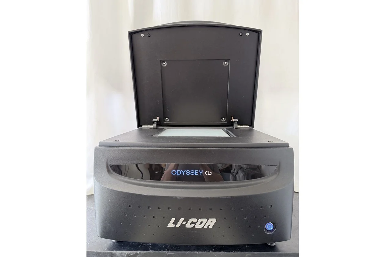 2026-02-28 15-46-07-1.acdsee.JPG