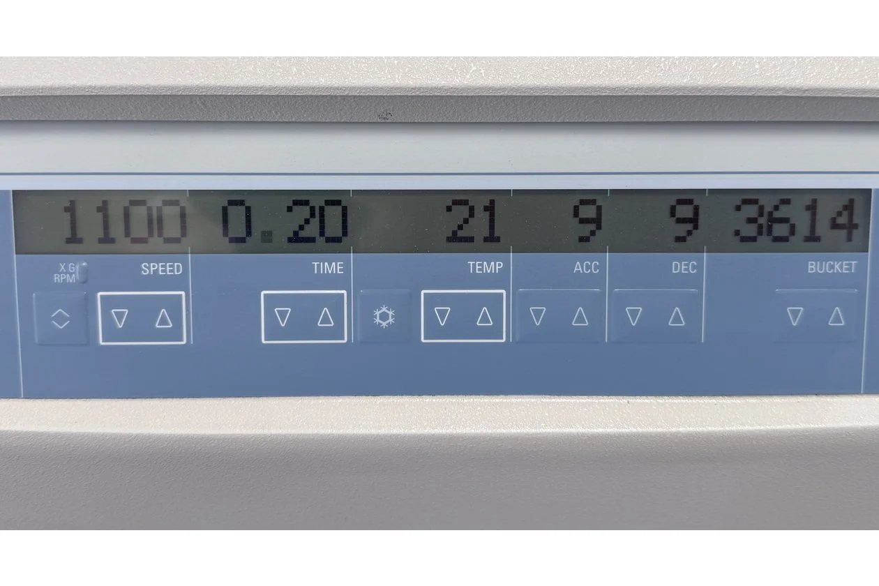 2026-06-11 15-06-56-1.acdsee.JPG