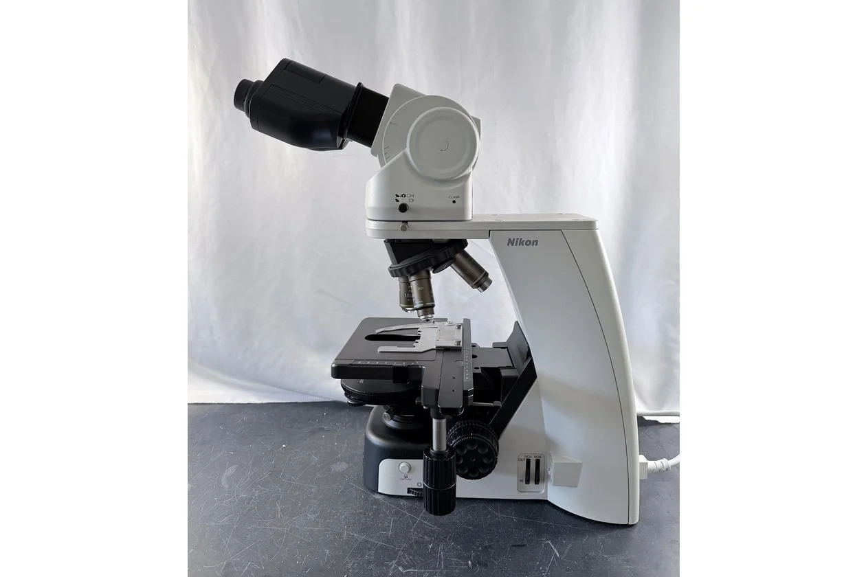 2026-02-04 15-46-02-1.acdsee.JPG