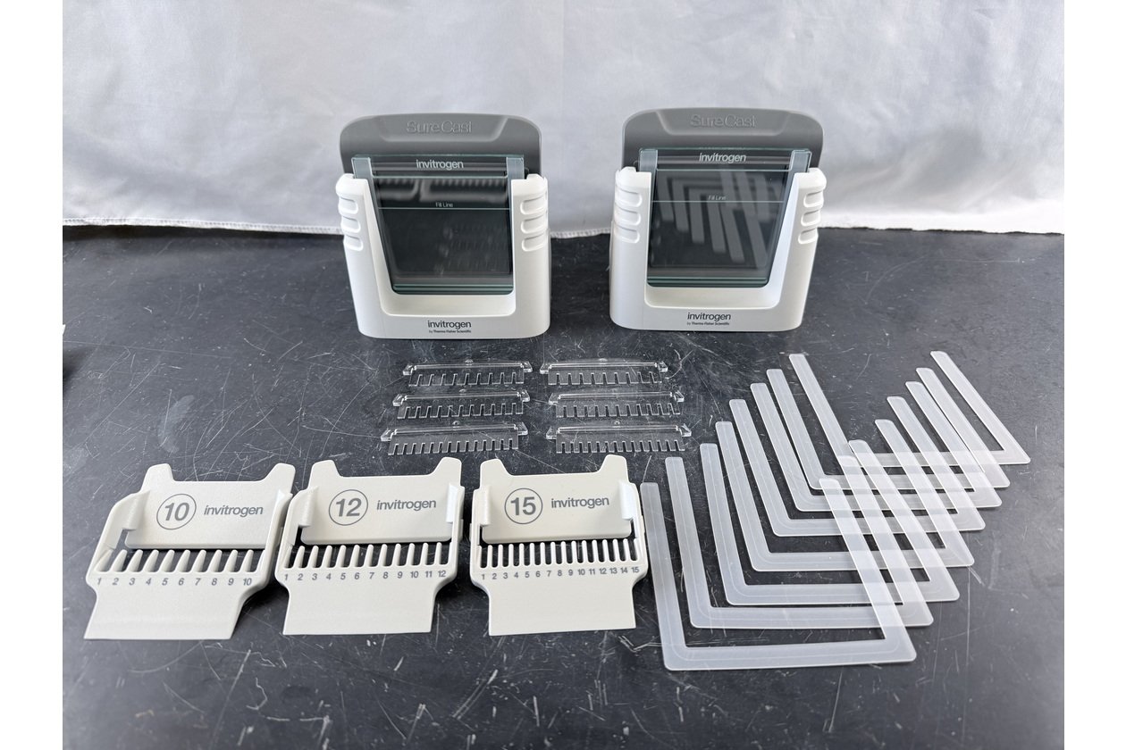 2026-01-20 12-00-57.acdsee.JPG