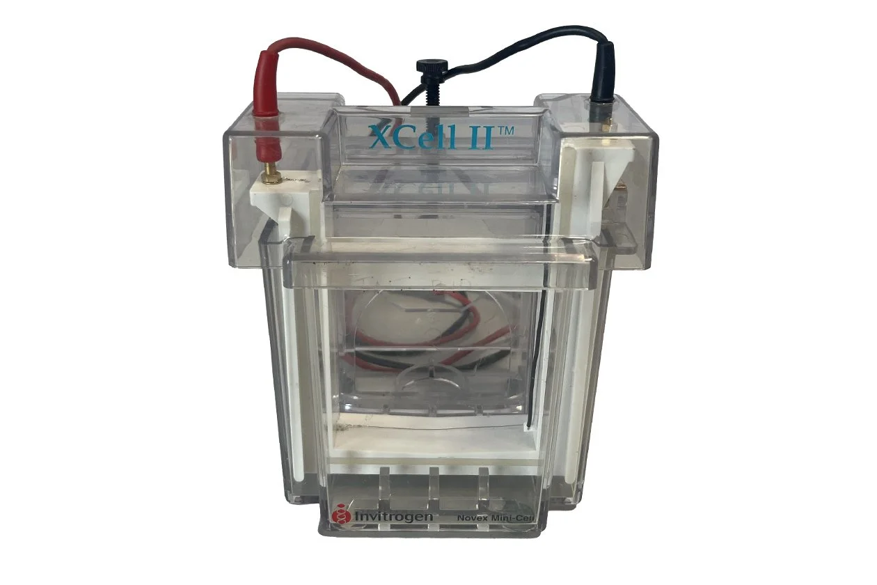 invitrogen-novex-xcell-ii-mini-cell-electrophoresis-system-ei9001