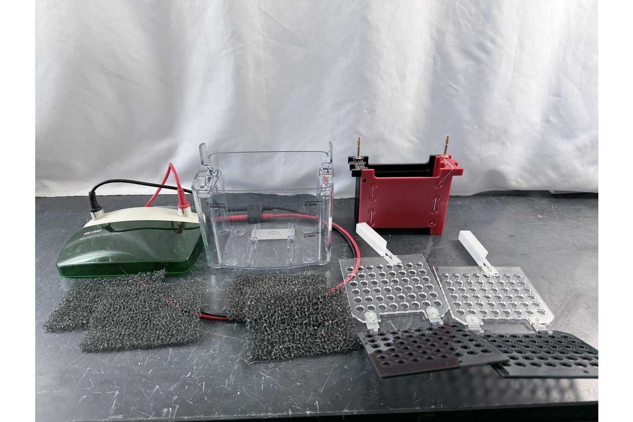 2026-01-20 10-34-34.acdsee.JPG