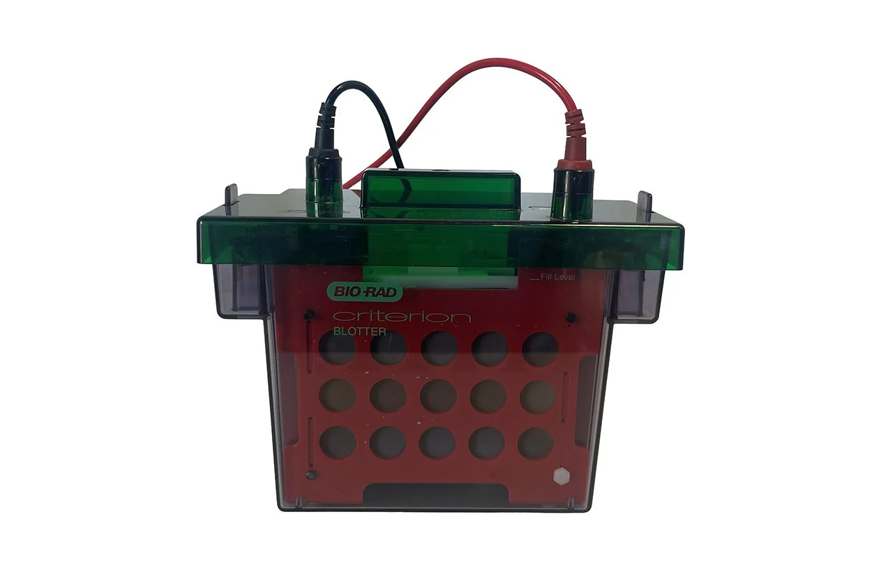 bio-rad-criterion-blotter-170-4070-electrophoretic-transfer-cell