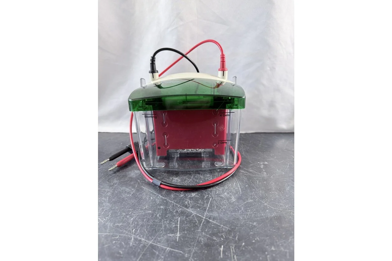 2026-01-20 10-32-20.acdsee.JPG