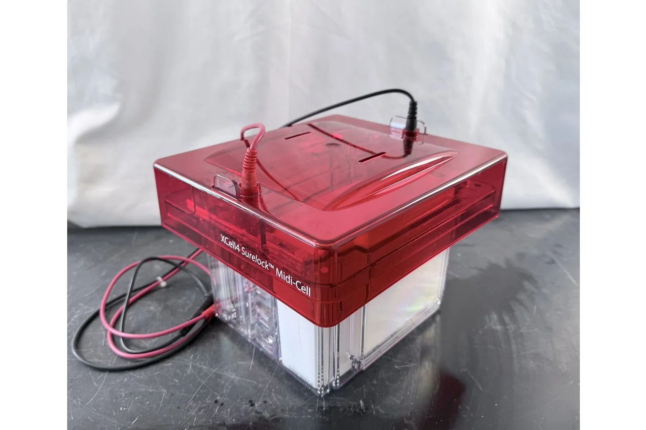 2026-03-09 14-57-48-1.acdsee.JPG