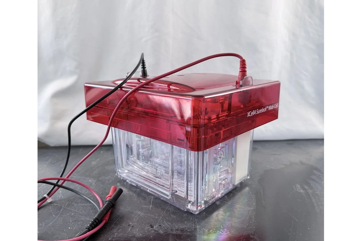 2026-03-09 14-57-54-1.acdsee.JPG