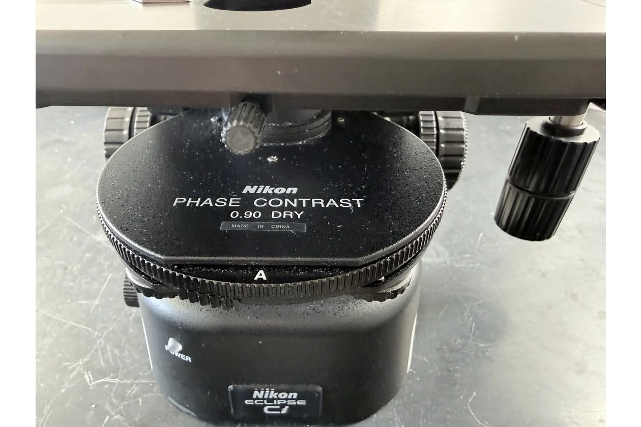 2026-02-04 15-47-16.acdsee.JPG